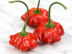 6_peppers