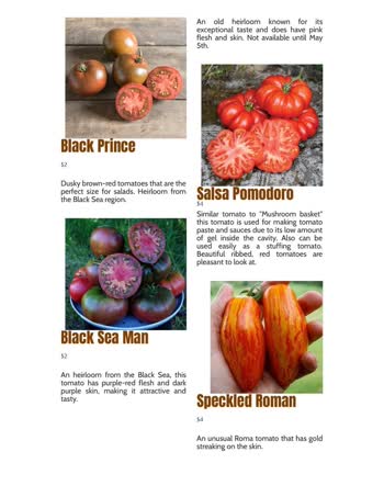 05-tomatoest.jpg
