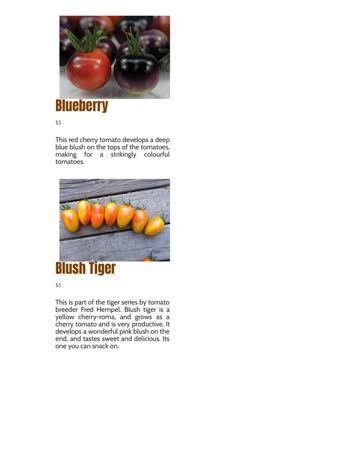 07-tomatoest.jpg