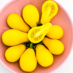 01-yellow_peart.jpg