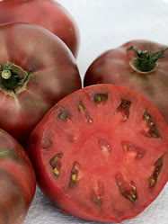 carbon_tomatot.jpg