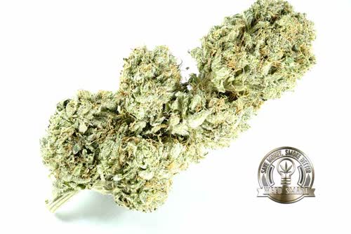 Death Bubba 150