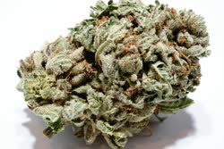 hindu_kush_01t.jpg
