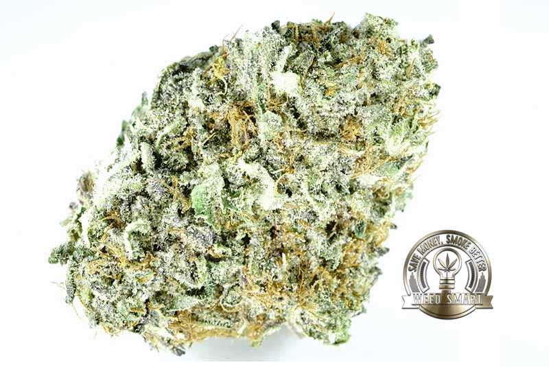 berry bomb hybrid 150