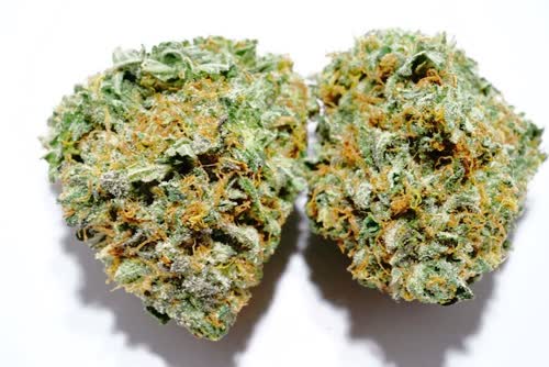 kosher_kush