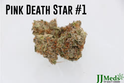 Pink-Death-Star-1-1-flower-September-15-2017_01t.jpg