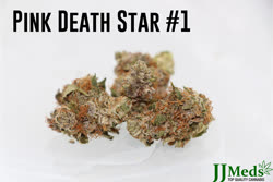 Pink-Death-Star-1-1-flower-September-15-2017_02t.jpg