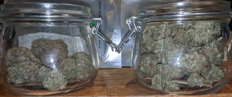 1 oz strawberry cough (left) 1 oz grapefruit (right)